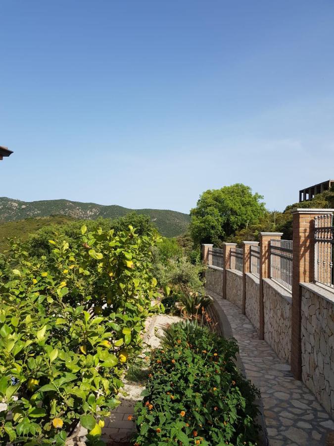"La Pavoncella" Chia - Domus De Maria Villa Exterior foto