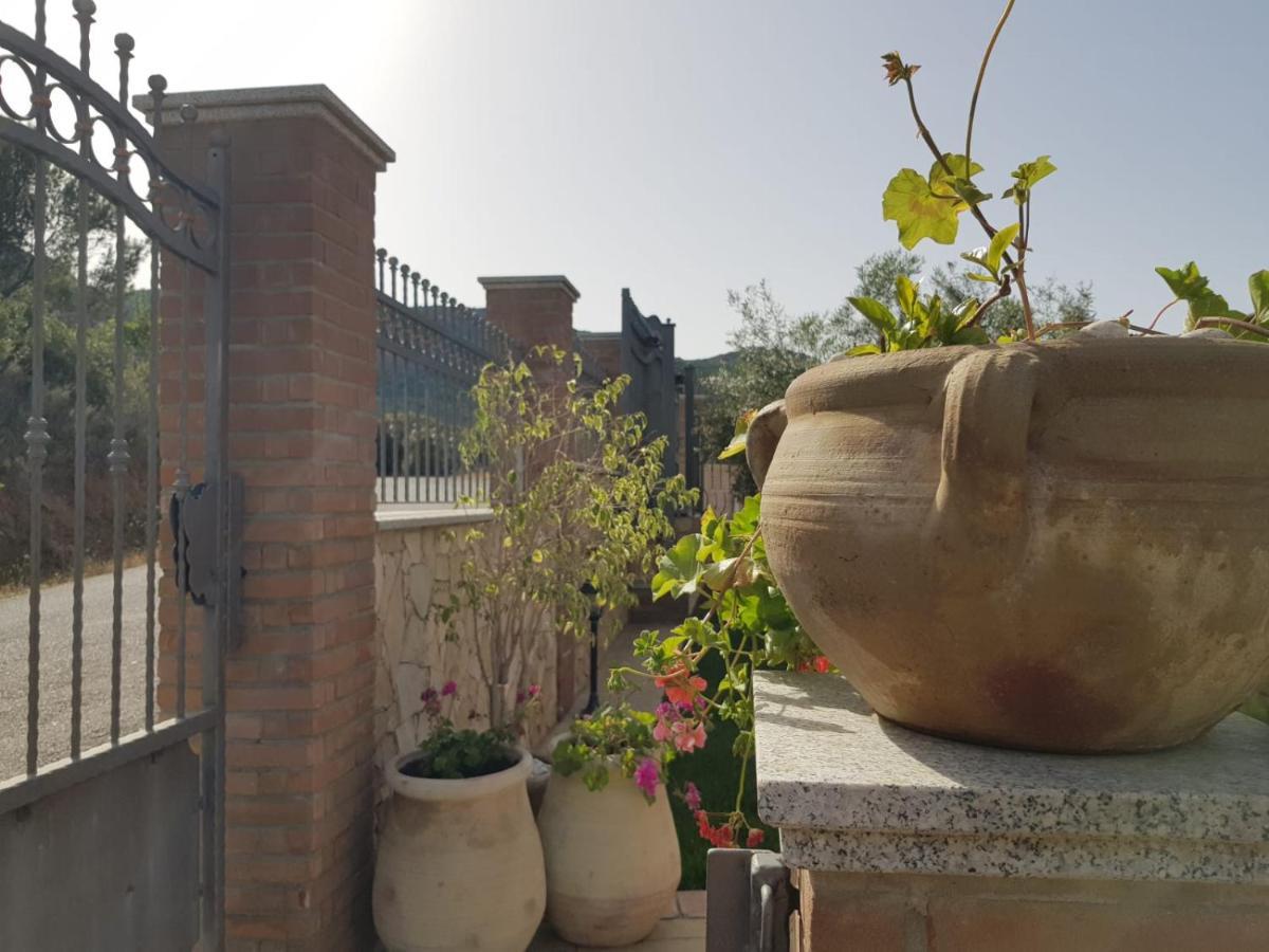 "La Pavoncella" Chia - Domus De Maria Villa Exterior foto